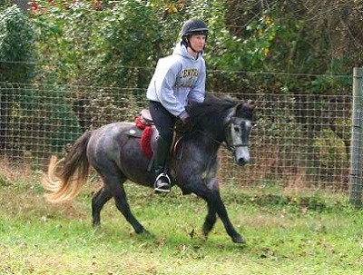 Kids trail pony for sale- xc canter